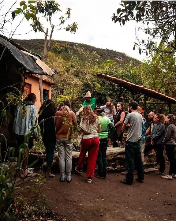 8b1900_7a26eded7f22462398d152940d28061c~mv2